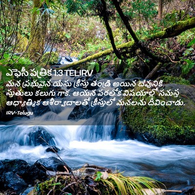 Picture 02 - ఎఫెసీ పత్రిక 1:3 TELIRV - మన ప్రభువైన యేసు - Bible Verse Picture