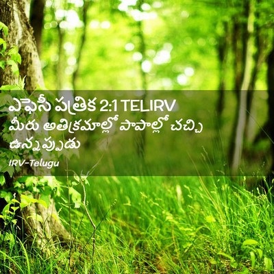 Picture 02 - ఎఫెసీ పత్రిక 2:1 TELIRV - మీరు అతిక్రమాల్లో - Bible Verse Picture