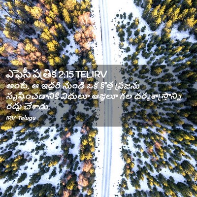 Picture 02 - ఎఫెసీ పత్రిక 2:15 TELIRV - అంటే, ఆ ఇద్దరి - Bible Verse Picture
