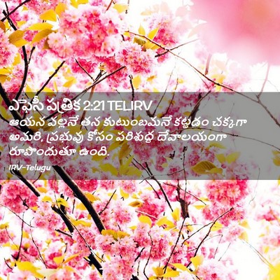 Picture 02 - ఎఫెసీ పత్రిక 2:21 TELIRV - ఆయన వల్లనే తన - Bible Verse Picture