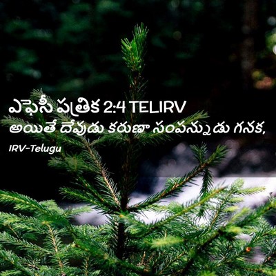 Picture 02 - ఎఫెసీ పత్రిక 2:4 TELIRV - అయితే దేవుడు - Bible Verse Picture