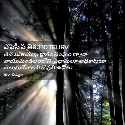 Picture 02 - ఎఫెసీ పత్రిక 3:10 TELIRV - తన బహుముఖ జ్ఞానం - Bible Verse Picture