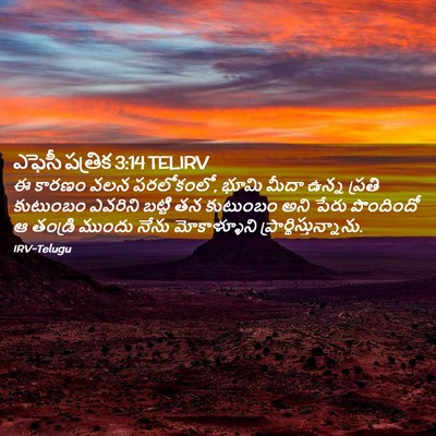 Picture 02 - ఎఫెసీ పత్రిక 3:14 TELIRV - ఈ కారణం వలన - Bible Verse Picture