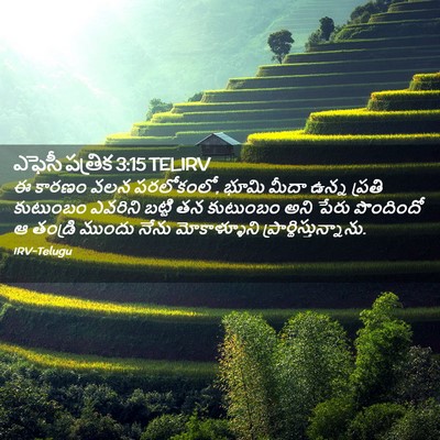 Picture 02 - ఎఫెసీ పత్రిక 3:15 TELIRV - ఈ కారణం వలన - Bible Verse Picture