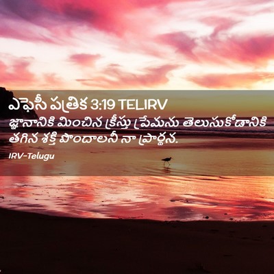 Picture 02 - ఎఫెసీ పత్రిక 3:19 TELIRV - జ్ఞానానికి మించిన - Bible Verse Picture