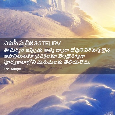 Picture 02 - ఎఫెసీ పత్రిక 3:5 TELIRV - ఈ మర్మం ఇప్పుడు - Bible Verse Picture