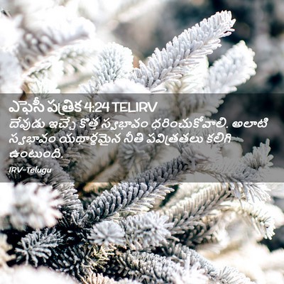 Picture 02 - ఎఫెసీ పత్రిక 4:24 TELIRV - దేవుడు ఇచ్చే - Bible Verse Picture