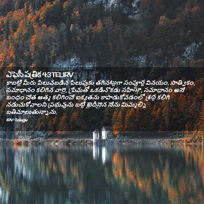 Picture 02 - ఎఫెసీ పత్రిక 4:3 TELIRV - కాబట్టి మీరు - Bible Verse Picture