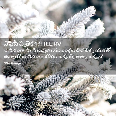 Picture 02 - ఎఫెసీ పత్రిక 4:4 TELIRV - ఏ విధంగా మీ - Bible Verse Picture