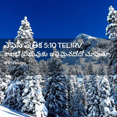 Picture 02 - ఎఫెసీ పత్రిక 5:10 TELIRV - కాబట్టి ప్రభువుకు - Bible Verse Picture