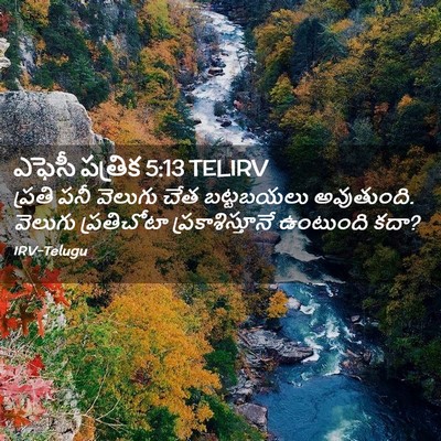 Picture 02 - ఎఫెసీ పత్రిక 5:13 TELIRV - ప్రతి పనీ వెలుగు - Bible Verse Picture