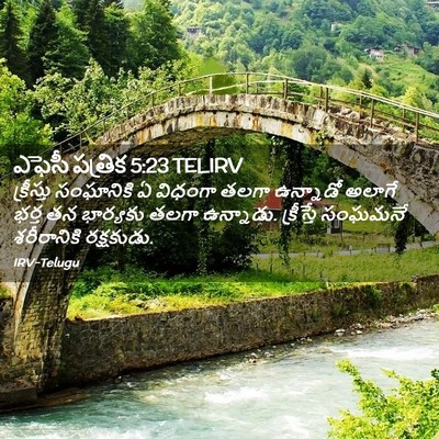 Picture 02 - ఎఫెసీ పత్రిక 5:23 TELIRV - క్రీస్తు సంఘానికి - Bible Verse Picture