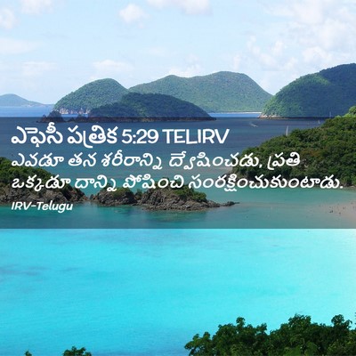 Picture 02 - ఎఫెసీ పత్రిక 5:29 TELIRV - ఎవడూ తన శరీరాన్ని - Bible Verse Picture
