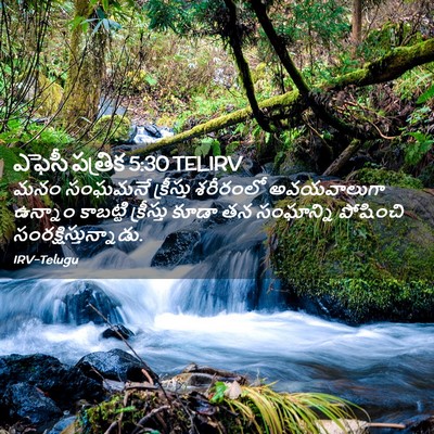 Picture 02 - ఎఫెసీ పత్రిక 5:30 TELIRV - మనం సంఘమనే - Bible Verse Picture