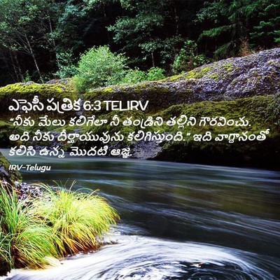 Picture 02 - ఎఫెసీ పత్రిక 6:3 TELIRV - “నీకు మేలు - Bible Verse Picture
