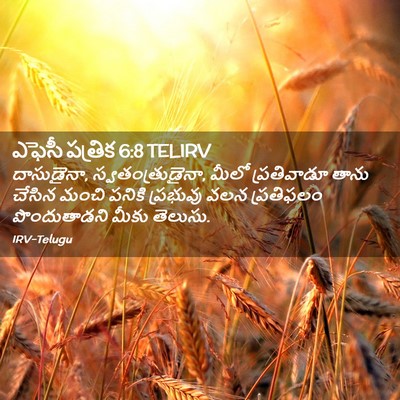 Picture 02 - ఎఫెసీ పత్రిక 6:8 TELIRV - దాసుడైనా, - Bible Verse Picture