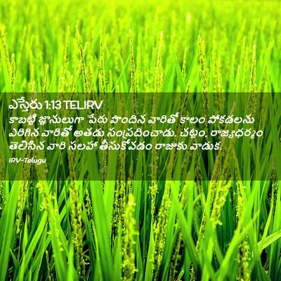 Picture 02 - ఎస్తేరు 1:13 TELIRV - కాబట్టి - Bible Verse Picture