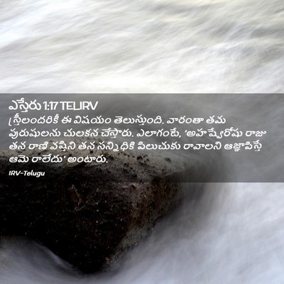 Picture 02 - ఎస్తేరు 1:17 TELIRV - స్త్రీలందరికీ ఈ - Bible Verse Picture