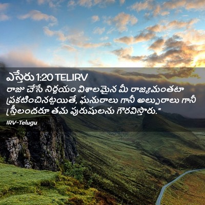 Picture 02 - ఎస్తేరు 1:20 TELIRV - రాజు చేసే నిర్ణయం - Bible Verse Picture