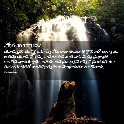 Picture 02 - ఎస్తేరు 10:3 TELIRV - యూదుడైన మొర్దెకై - Bible Verse Picture