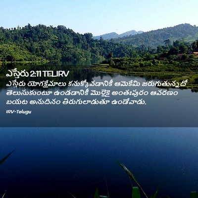 Picture 02 - ఎస్తేరు 2:11 TELIRV - ఎస్తేరు - Bible Verse Picture