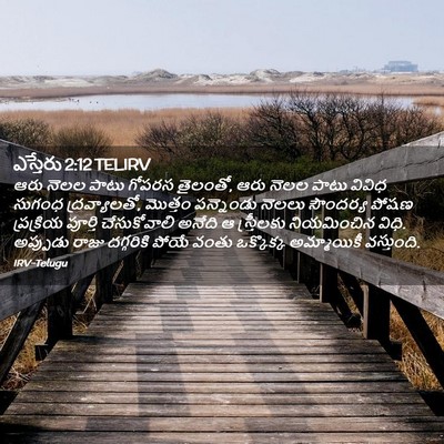 Picture 02 - ఎస్తేరు 2:12 TELIRV - ఆరు నెలల పాటు - Bible Verse Picture