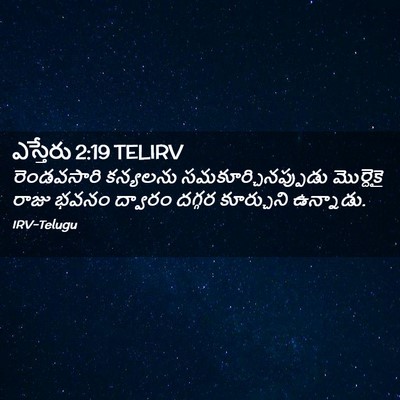 Picture 02 - ఎస్తేరు 2:19 TELIRV - రెండవసారి కన్యలను - Bible Verse Picture