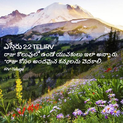 Picture 02 - ఎస్తేరు 2:2 TELIRV - రాజు కొలువులో - Bible Verse Picture