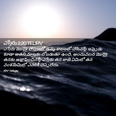 Picture 02 - ఎస్తేరు 2:20 TELIRV - ఎస్తేరు మొర్దెకై - Bible Verse Picture