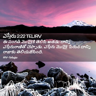 Picture 02 - ఎస్తేరు 2:22 TELIRV - ఈ సంగతి - Bible Verse Picture