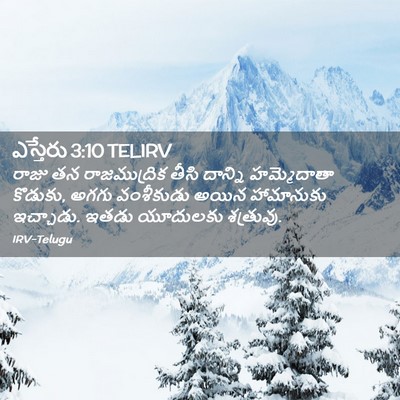 Picture 02 - ఎస్తేరు 3:10 TELIRV - రాజు తన - Bible Verse Picture