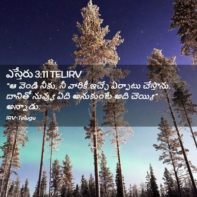 Picture 02 - ఎస్తేరు 3:11 TELIRV - “ఆ వెండి నీకు, నీ - Bible Verse Picture