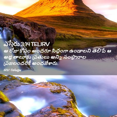 Picture 02 - ఎస్తేరు 3:14 TELIRV - ఆ రోజు కోసం అందరూ - Bible Verse Picture