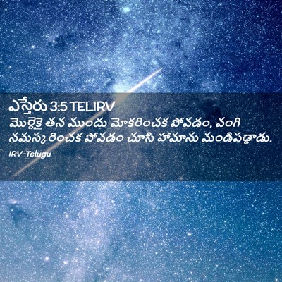 Picture 02 - ఎస్తేరు 3:5 TELIRV - మొర్దెకై తన ముందు - Bible Verse Picture