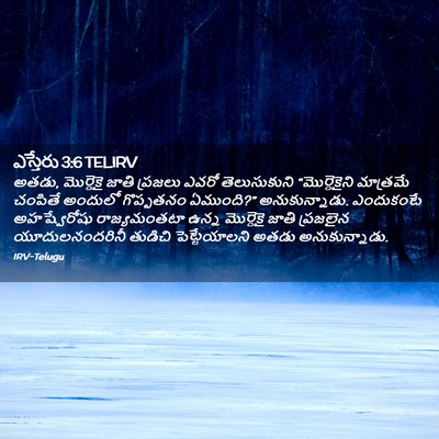 Picture 02 - ఎస్తేరు 3:6 TELIRV - అతడు, మొర్దెకై - Bible Verse Picture