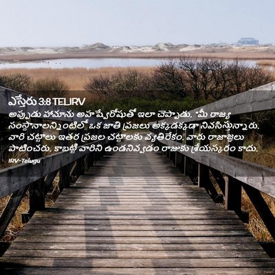 Picture 02 - ఎస్తేరు 3:8 TELIRV - అప్పుడు హామాను - Bible Verse Picture