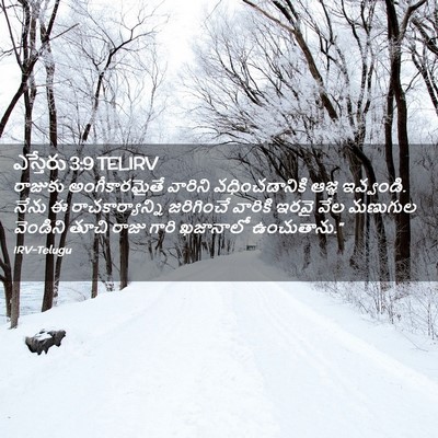 Picture 02 - ఎస్తేరు 3:9 TELIRV - రాజుకు - Bible Verse Picture