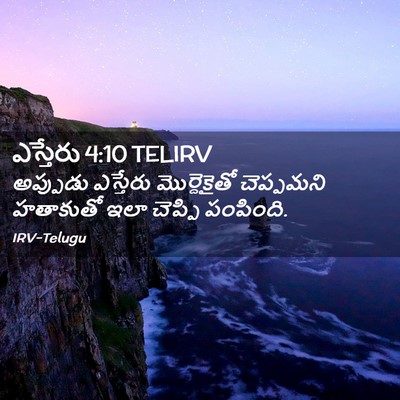 Picture 02 - ఎస్తేరు 4:10 TELIRV - అప్పుడు ఎస్తేరు - Bible Verse Picture