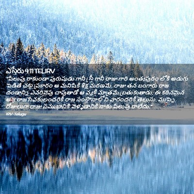 Picture 02 - ఎస్తేరు 4:11 TELIRV - “పిలుపు రాకుండా - Bible Verse Picture