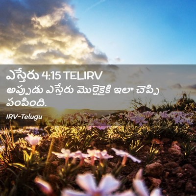 Picture 02 - ఎస్తేరు 4:15 TELIRV - అప్పుడు ఎస్తేరు - Bible Verse Picture