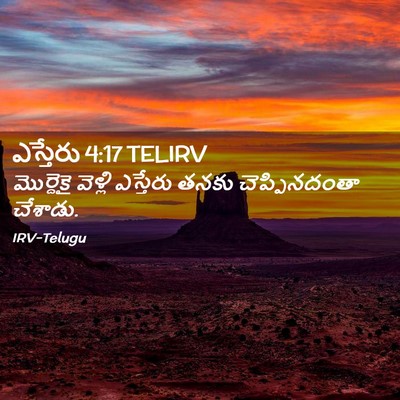 Picture 02 - ఎస్తేరు 4:17 TELIRV - మొర్దెకై వెళ్లి - Bible Verse Picture