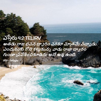 Picture 02 - ఎస్తేరు 4:2 TELIRV - అతడు రాజ భవన - Bible Verse Picture