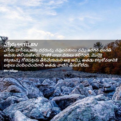 Picture 02 - ఎస్తేరు 4:4 TELIRV - ఎస్తేరు దాసీలు, - Bible Verse Picture