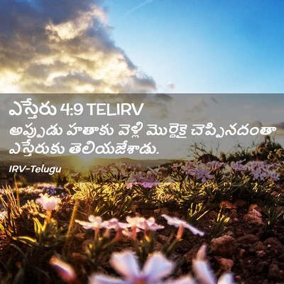 Picture 02 - ఎస్తేరు 4:9 TELIRV - అప్పుడు హతాకు - Bible Verse Picture