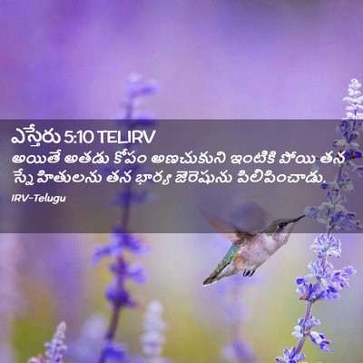 Picture 02 - ఎస్తేరు 5:10 TELIRV - అయితే అతడు కోపం - Bible Verse Picture
