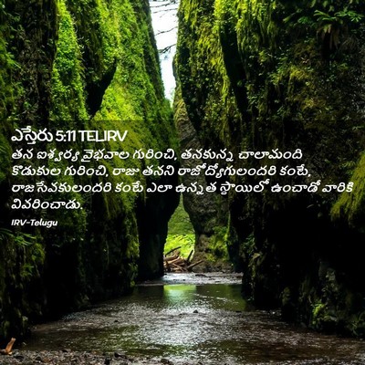 Picture 02 - ఎస్తేరు 5:11 TELIRV - తన ఐశ్వర్య వైభవాల - Bible Verse Picture