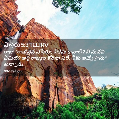 Picture 02 - ఎస్తేరు 5:3 TELIRV - రాజు “రాణివైన - Bible Verse Picture