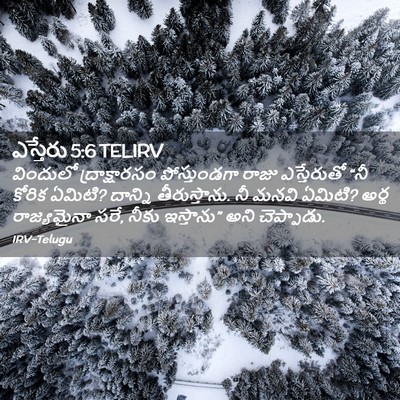 Picture 02 - ఎస్తేరు 5:6 TELIRV - విందులో - Bible Verse Picture