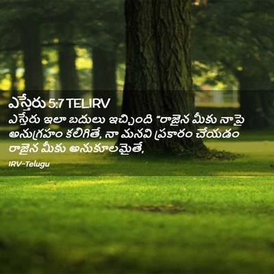 Picture 02 - ఎస్తేరు 5:7 TELIRV - ఎస్తేరు ఇలా బదులు - Bible Verse Picture