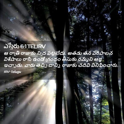 Picture 02 - ఎస్తేరు 6:1 TELIRV - ఆ రాత్రి రాజుకు - Bible Verse Picture